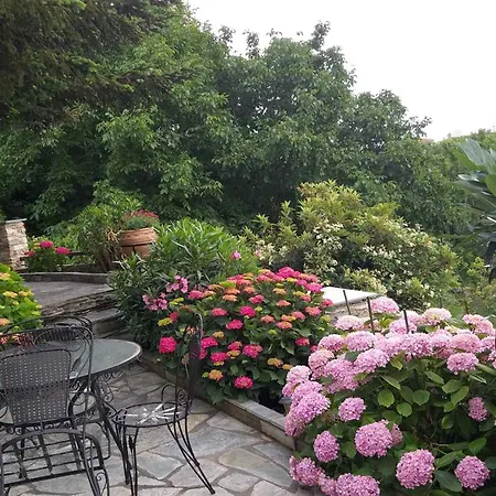 The View House Pelion Holiday home Portaria (Magnesia)
