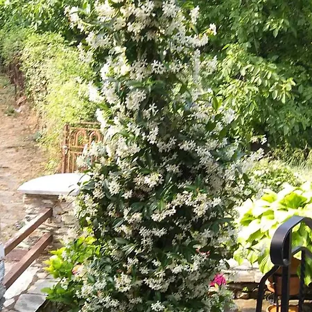 The View House Pelion