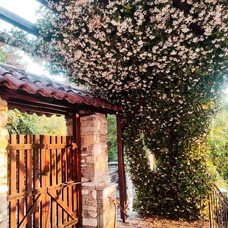 Σπίτι διακοπών The View House Pelion